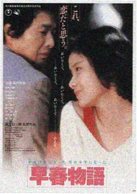 短剧HD夜色归途海报